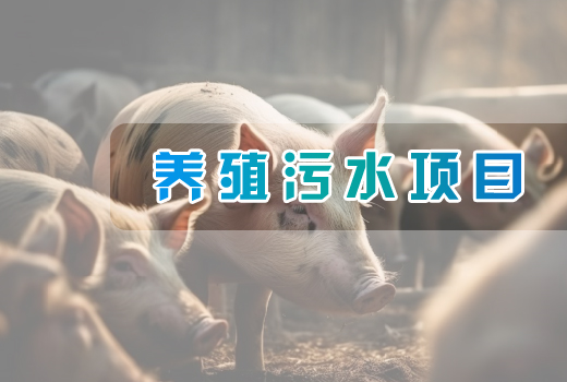 養(yǎng)殖污水項(xiàng)目
